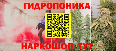 гидропоника Берёзовский