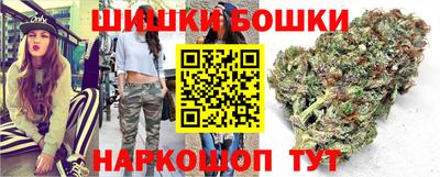 дживик Бийск