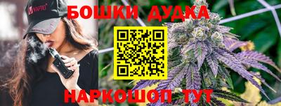 дживик Бийск