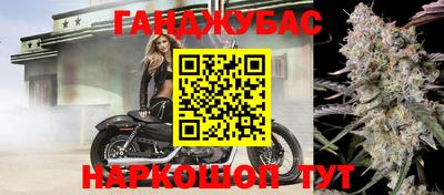 дживик Бийск