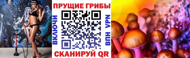 Галлюциногенные грибы GOLDEN TEACHER купить сайты Гулькевичи