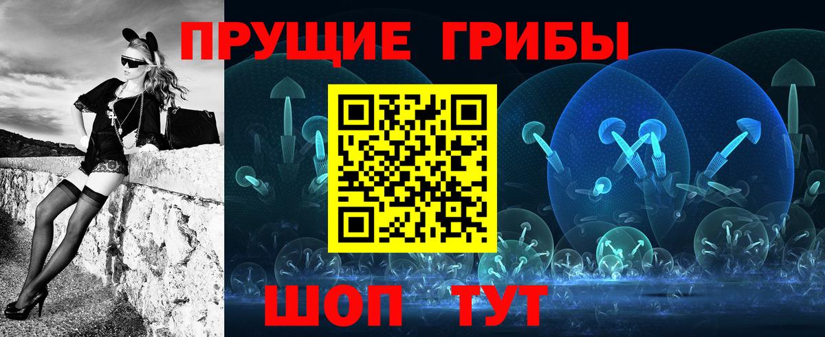 Галлюциногенные грибы Psilocybe  Гулькевичи  Галлюциногенные грибы мицелий 
